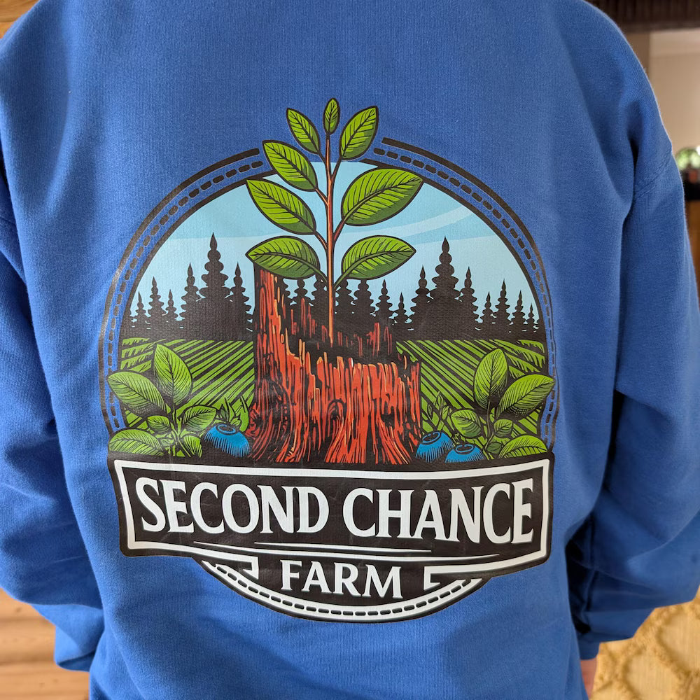 Custom Heat Transfer Hoodie